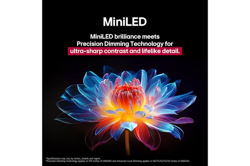 3D holographic flower in many different shades and hues against a black background. The definition and detail of the flower shows off QNED MiniLED's capability to produce visuals with exceptional color, brightness, and contrast. The title talks about how MiniLED and enhances clarity and provides exceptional contrast.