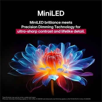3D holographic flower in many different shades and hues against a black background. The definition and detail of the flower shows off QNED MiniLED's capability to produce visuals with exceptional color, brightness, and contrast. The title talks about how MiniLED and enhances clarity and provides exceptional contrast.
