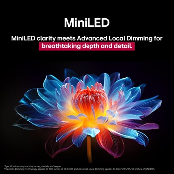 3D holographic flower in many different shades and hues against a black background. The definition and detail of the flower shows off QNED MiniLED's capability to produce visuals with exceptional colour, brightness, and contrast. The title talks about how MiniLED and enhances clarity and provides exceptional contrast.