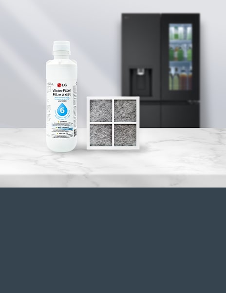 This is a picture of the LG refrigerator water filter
