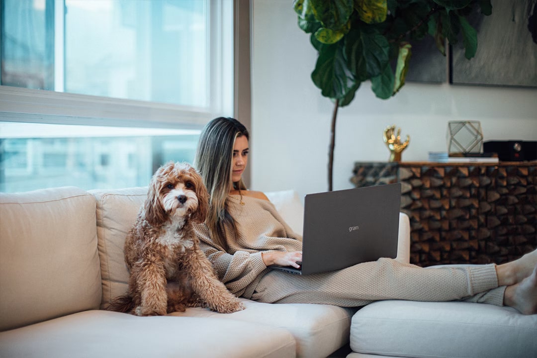 Work From Home Productivity and AI in Your Home