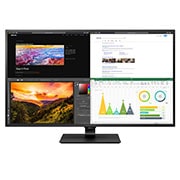 LG 42.5-inch 4K UHD IPS Monitor, 43UN700-B