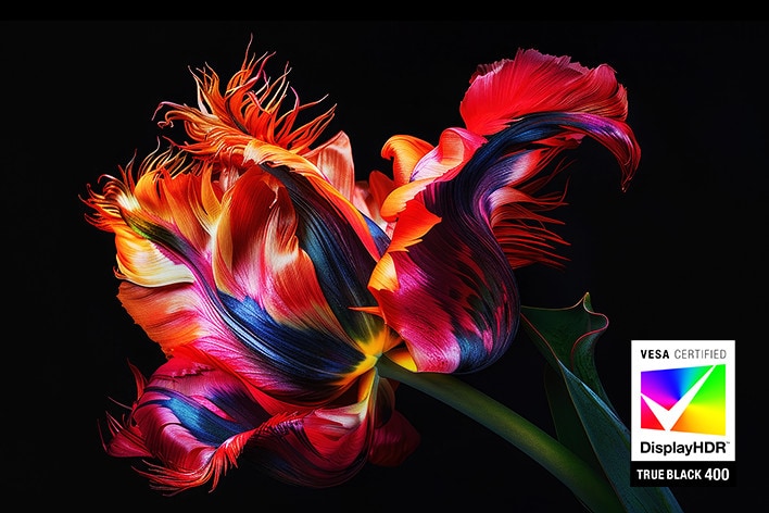 Vivid image of a colourful flower with intricate details on a black background, featuring the VESA Certified DisplayHDR True Black 400 logo.