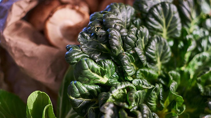 Fresh_Food