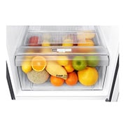 LG 24'' Counter Depth Compact Top Freezer Refrigerator with DoorCooling+, 11 cu.ft, LTNC11131V