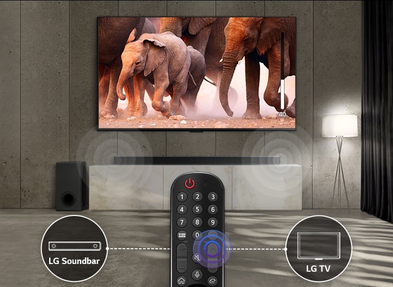 TV in a room with subtle lights shows images of elephants passing by. And there is a sound effect on the sound bar under the TV. At the bottom of the image, there is a TV remote control, and the sound bar and the icon of the TV are connected to the left and right of the remote control.