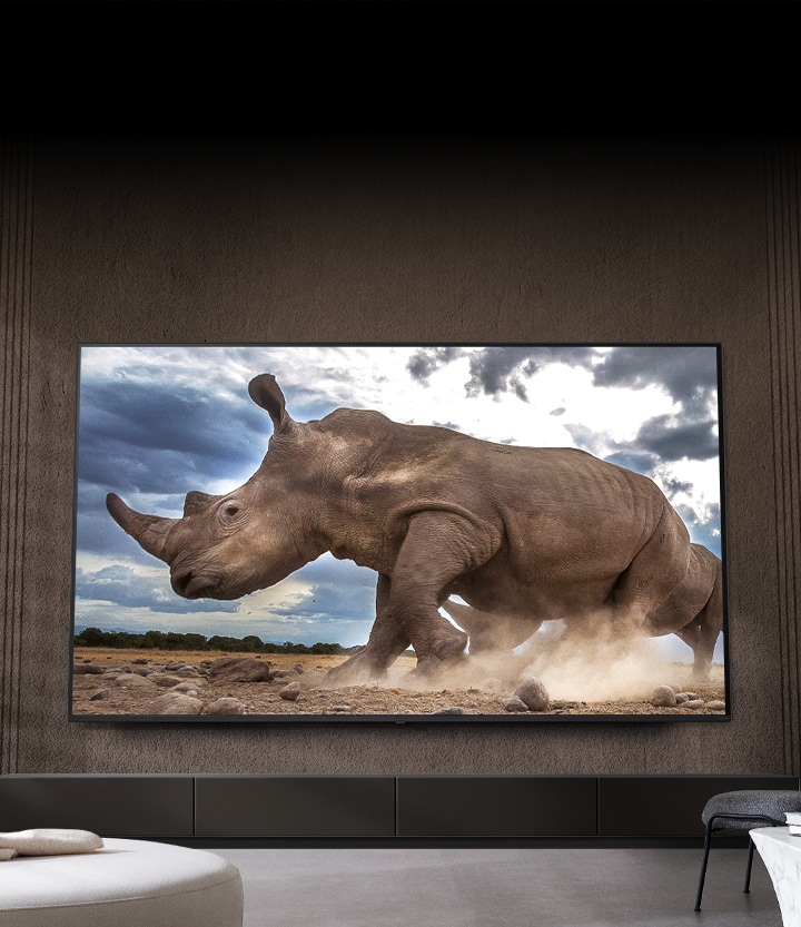 A rhinoceros in a safari setting is shown on an Ultra Big LG TV, mounted on the brown wall of a living room surrounded by cream-coloured modular furniture.