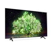 LG A1 65" 4K Smart OLED TV, OLED65A1PUA