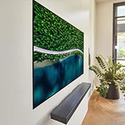 LG 65" WX LG OLED TV with ThinQ® AI, OLED65WXPUA