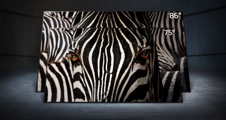 A 75-inch LG NanoCell TV stood directly in front of an 86-inch ultra-large LG NanoCell TV in a dark space. A close-up image of a zebra’s face is displayed on the screens.