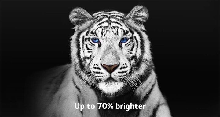 A video showing 2 images of a white tiger side by side. The side representing Brightness Booster Max appears up to 70% brighter and then fills the screen.