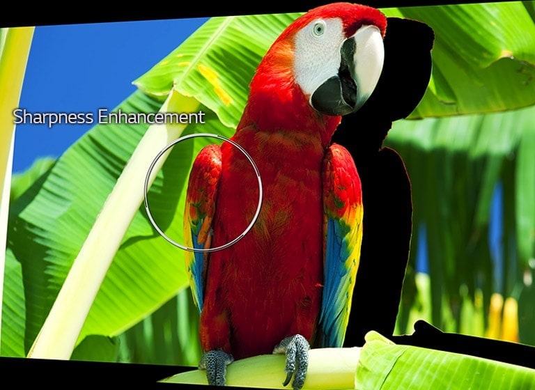 04_Alpha9_Sharpness_Enhancer_desktop