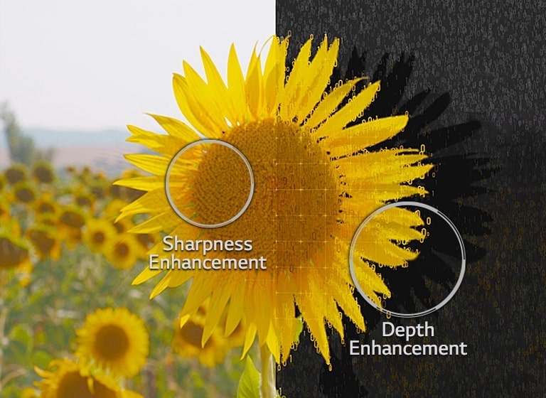 05_Alpha9_Depth_Enhancer_desktop