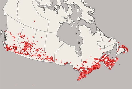 Carte du Canada avec de nombreux points rouges indiquant les emplacements de service de LG à travers le pays, mettant en avant la vaste couverture du réseau national de services pour électroménagers de LG.