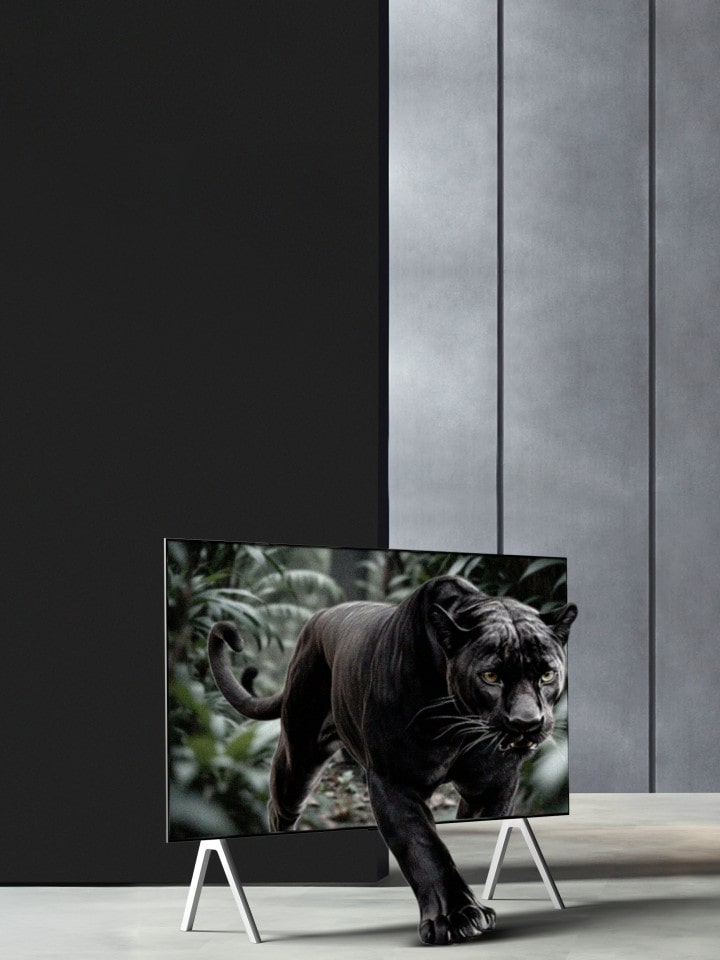 Ein Panther im Dschungel, der scheinbar aus einem LG TV auf einem Standfuß kommt. Es erscheinen Linien, als würde die KI den Panther und dann den Hintergrund analysieren. Das Gesamtbild wird verbessert, indem gezeigt wird, wie der AI Perceived Object Enhancer jeder Szene 3D-Tiefe verleiht.