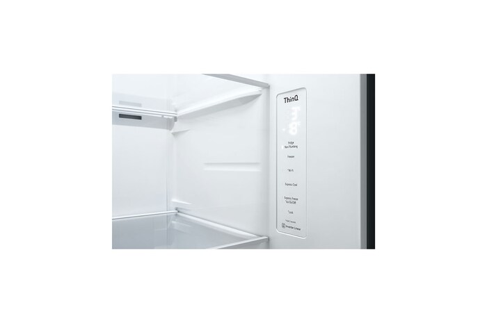 LG Side-by-Side mit Door-in-Door ® | Eis-, Crushed Ice- und Wasserspender  | 635 Liter Kapazität | Energieeffizienzklasse E | Interner Wassertank | Platinum Silver | GSJV51PZTE, GSJV51PZTE