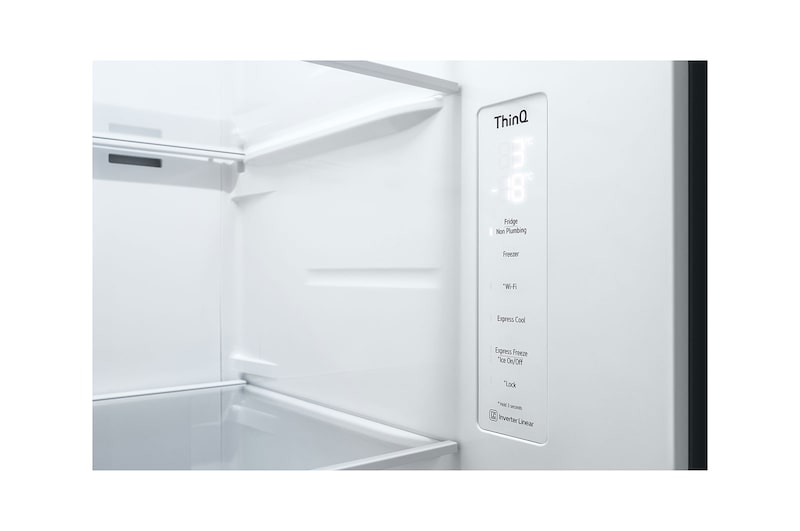 LG Side-by-Side mit Door-in-Door ® | Eis-, Crushed Ice- und Wasserspender  | 635 Liter Kapazität | Energieeffizienzklasse E | Interner Wassertank | Platinum Silver | GSJV51PZTE, GSJV51PZTE