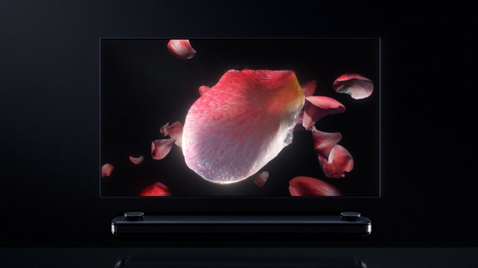 Das Blumenbild wird auf dem Bildschirm des LG SIGNATURE OLED TV W angezeigt.
