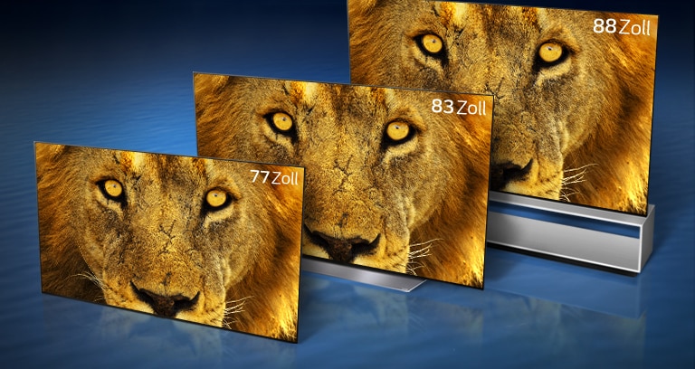 OLED-Fernseher mit 77, 83 und 88 Zoll und der Nahaufnahme eines Löwengesichts stehen jeweils diagonal vor einem dunkelblauen Wellenhintergrund.