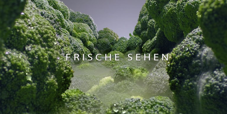 Halten Sie Ihre Nahrungsmittel länger frisch