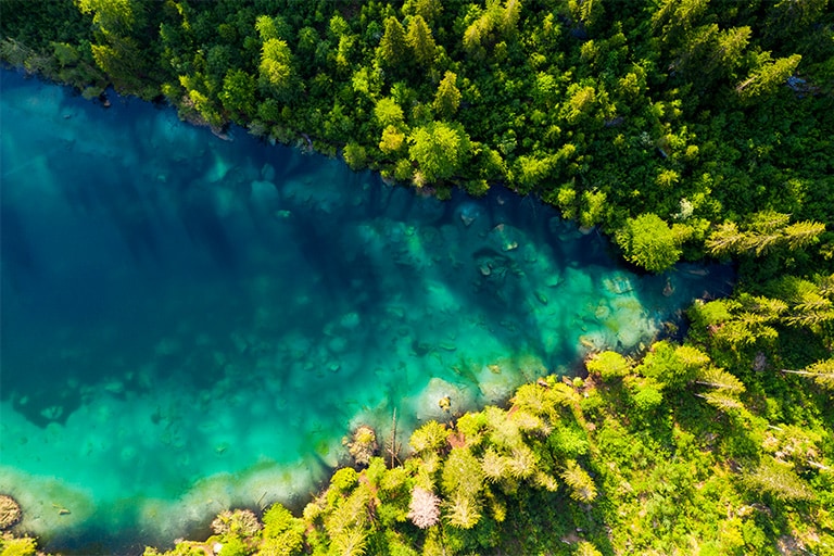 Dieses Bild zeigt einen dichten Wald, durch den ein Fluss in der Mitte der Draufsicht fliesst. Dieses Bild beschreibt FHD.