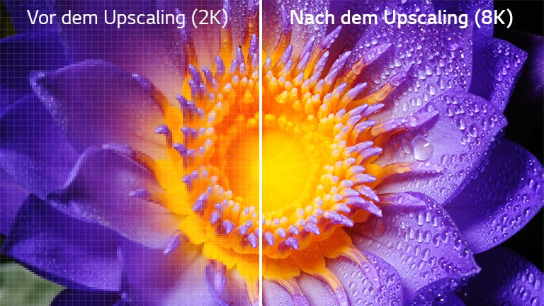 Bild einer Blume in der ursprünglichen 2K-Auflösung auf der linken Seite und nach dem Upscaling auf 8K auf der rechten Seite.