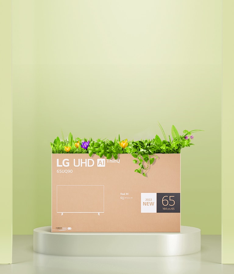 Die Verpackung eines LG-UHD-Monitors wurde zu einem Blumenkasten upgecycelt.