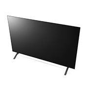 LG 48“ LG OLED TV, OLED48A19LA