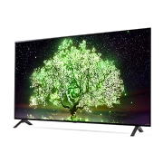 LG 55“ LG OLED TV, OLED55A19LA