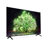 LG 55“ LG OLED TV, OLED55A19LA