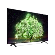 LG 65“ LG OLED TV, OLED65A19LA