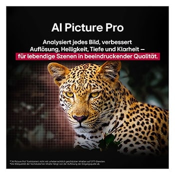 Leopard im Wald in lebendigen Farben und Details. Der Leopard hat ein Gitter und ein Licht, das dahinter leuchtet, was anzeigt, wie LG AI Picture Pro beeindruckende visuelle Verbesserungen an der Auflösung, Helligkeit, Tiefe und Klarheit der Szene vorgenommen hat.