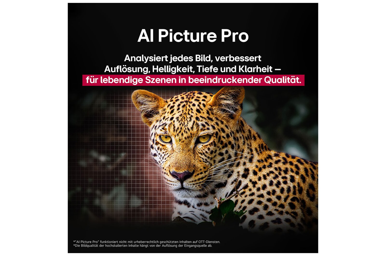 Leopard im Wald in lebendigen Farben und Details. Der Leopard hat ein Gitter und ein Licht, das dahinter leuchtet, was anzeigt, wie LG AI Picture Pro beeindruckende visuelle Verbesserungen an der Auflösung, Helligkeit, Tiefe und Klarheit der Szene vorgenommen hat.