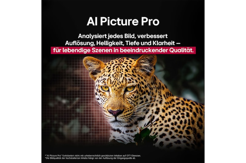 Leopard im Wald in lebendigen Farben und Details. Der Leopard hat ein Gitter und ein Licht, das dahinter leuchtet, was anzeigt, wie LG AI Picture Pro beeindruckende visuelle Verbesserungen an der Auflösung, Helligkeit, Tiefe und Klarheit der Szene vorgenommen hat.