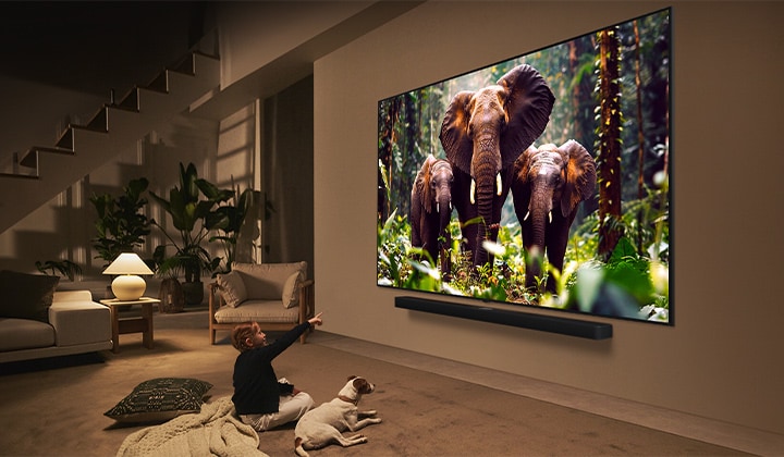 Ein Mädchen und ein Hund sitzen vor einem LG QNED TV, der an einer Wand montiert ist und drei Elefanten zeigt, die über einer LG Soundbar nach außen laufen.
