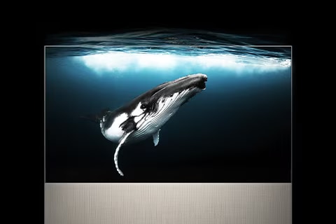 ART90 in Full View zeigt einen Wal unter Wasser, während das Sonnenlicht von oben scheint. Das Bild geht über das Fernsehgerät hinaus und demonstriert so sein immersives Bild.
