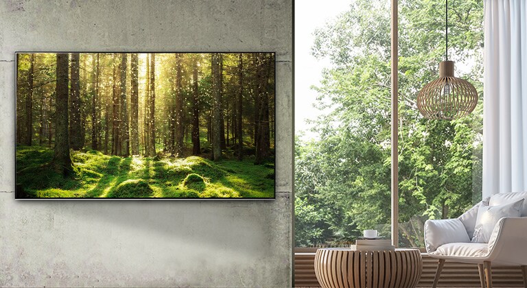 Ein Flachbildfernseher an einer grauen Wand neben einem raumhohen Fenster und natürlich wirkenden Holzmöbeln. Der Bildschirm zeigt eine Waldszene mit Licht, das durch die Bäume schimmert.