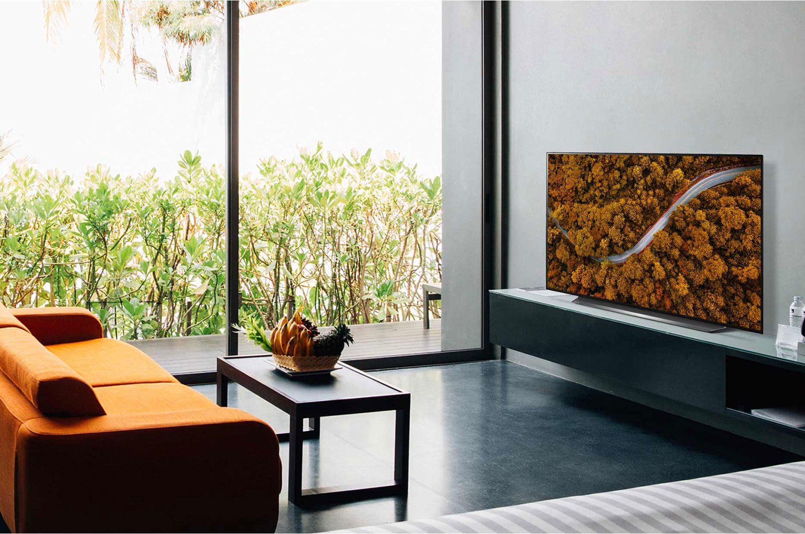 LG 65“ LG OLED TV, OLED65CX6LA