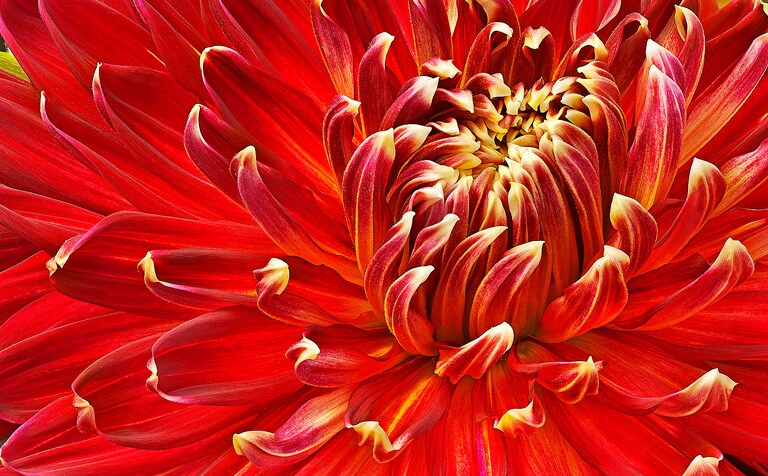 Une nouvelle dimension de Full-HD