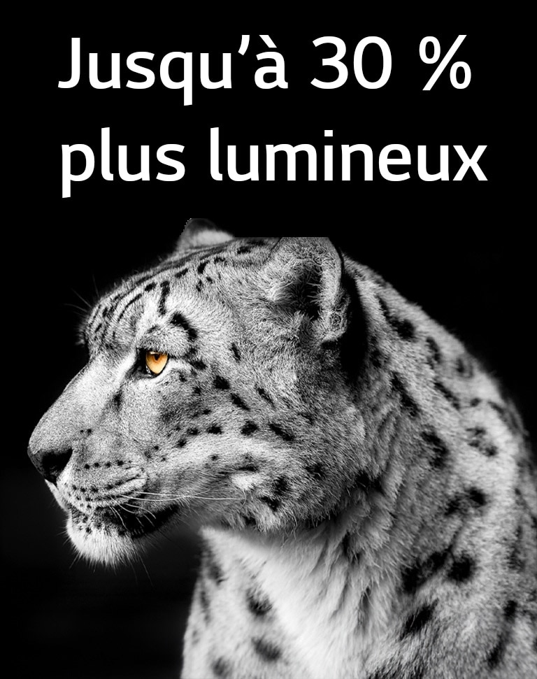 Un léopard blanc de profil sur le côté gauche de l’image. La phrase « Jusqu’à 30 % plus lumineux » apparaît à gauche.