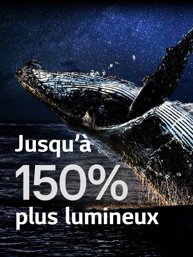 Une baleine sautant hors de l’océan sur fond noir. La phrase « jusqu’à 150 % plus lumineux » apparaît au-dessus de la baleine et deviennent plus brillants.