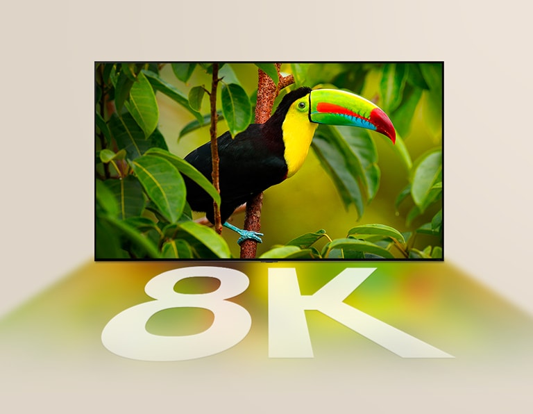 Téléviseur LG affichant à l’écran un oiseau exotique et des arbres, ainsi que les couleurs de l’écran et le symbole « 8K » en blanc se reflétant sous le téléviseur LG.