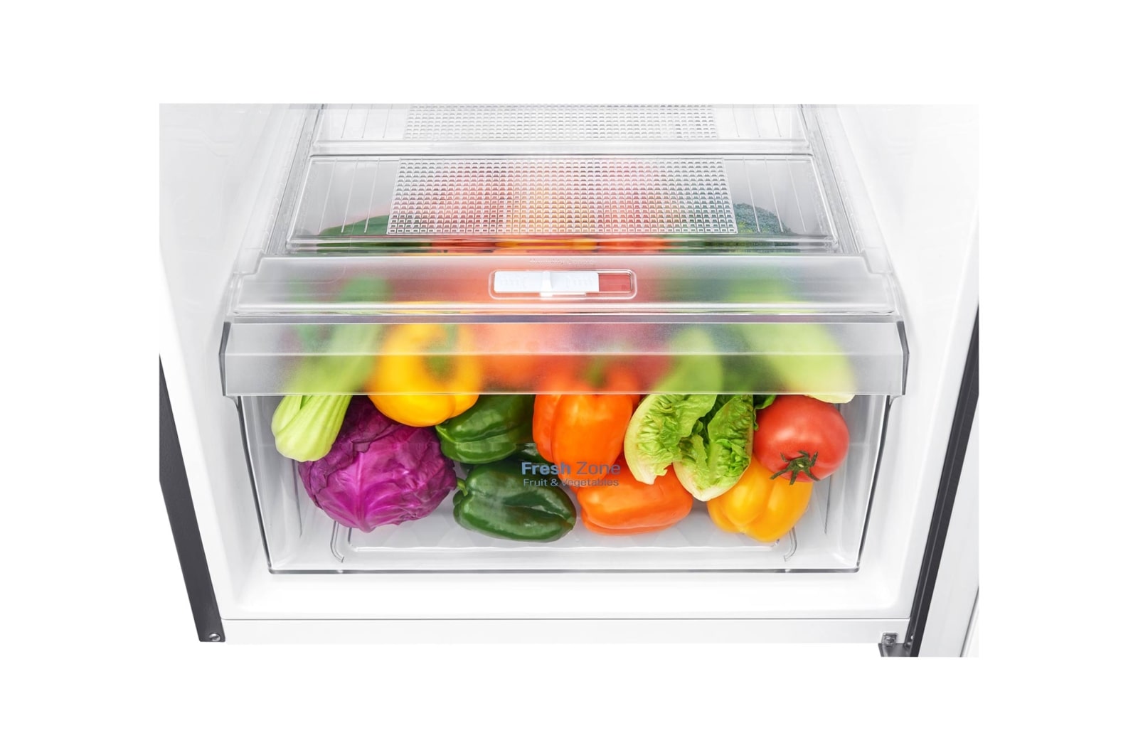 LG Refrigerador Top Freezer con motor Smart Inverter Compressor y capacidad total de 254 Litros, GT29WPPDC