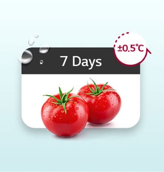 Tomates frescos durante 7 días gracias al enfriamiento lineal que mantiene las fluctuaciones de temperatura dentro de ±0.5℃.