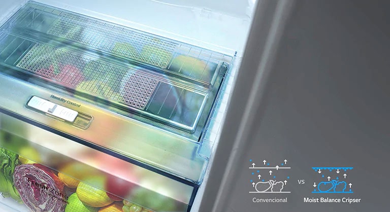 Moist Balance Crisper