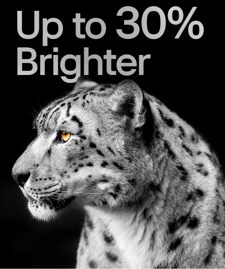 Un leopardo blanco que muestra su cara lateral en el lado izquierdo de la imagen. A la izquierda aparecen las palabras "Hasta un 30% más brillante".
