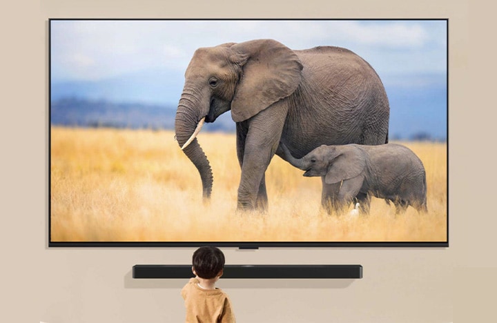 Un niño está de pie frente de una televisión grande que muestra una imagen de dos elefantes, uno adulto y otro bebé, caminando por un campo cubierto de hierba.