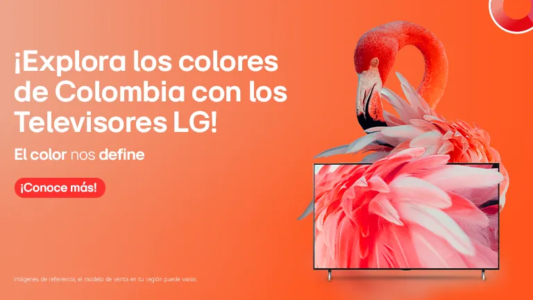 Televisores LG con Flamengo