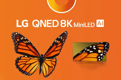 Mariposa con Tv LG QNED 8K