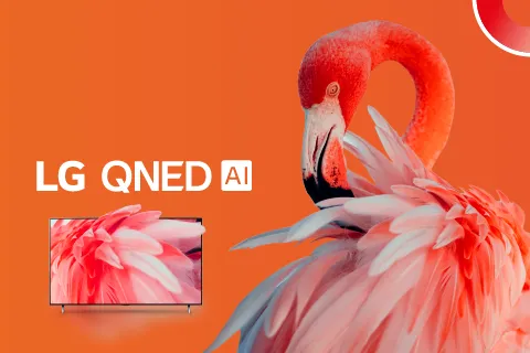 Flamenco con Tv LG QNED AI